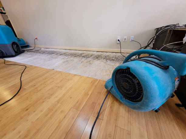 Professional Water Damage Repair technician working in Morley, MI