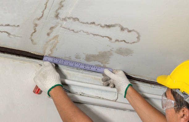 Affordable Water Damage Repair solutions in Morley, MI